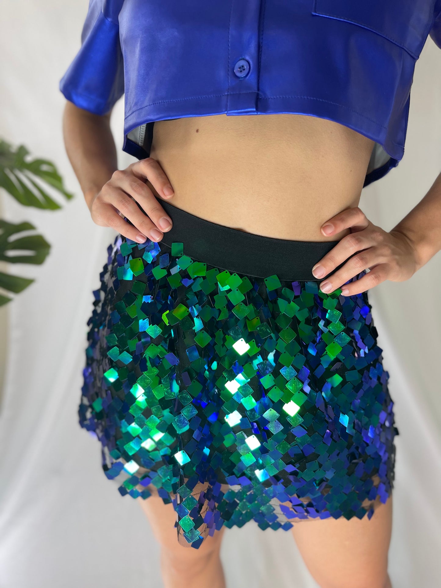 Sequin Skirt